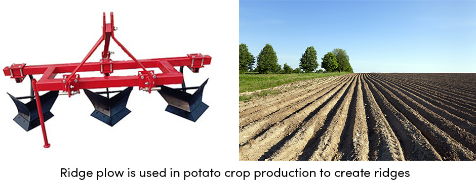 Ridge plow