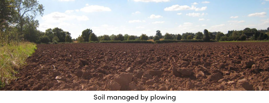 Plowing 