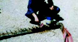 Cleaning the cutting comb with diesel