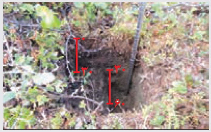 Sampling method from two depths 0 to 30 cm and 30 to 60 cm