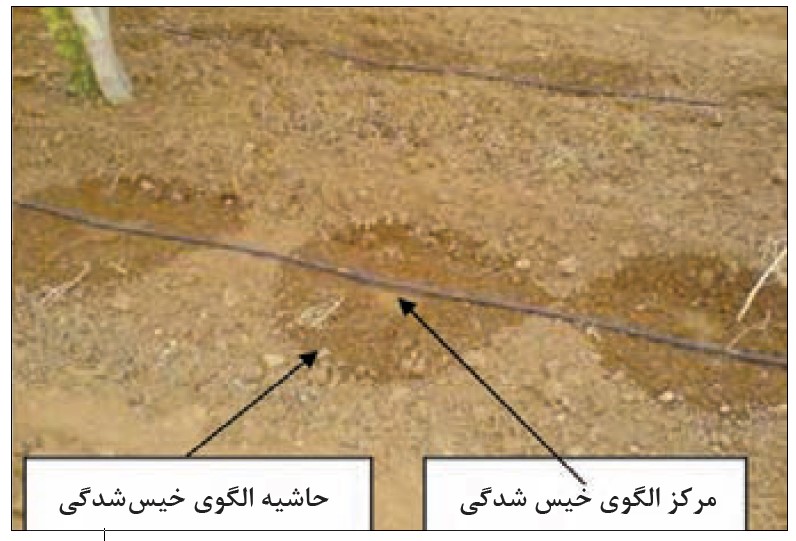 محل نمونه برداری در سیستم آبیاری قطره ای