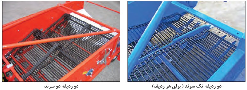 Types of potatoes with a two-row conveyor