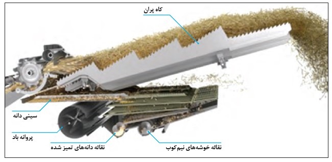 The movement path of the harvested product in the threshing, separating and cleaning units