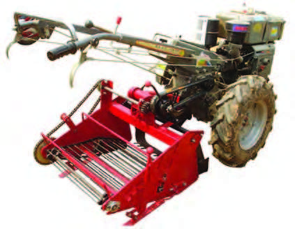 Conveyor potato for two-wheeled tractor