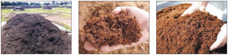 Urban compost, cocopeat, peat