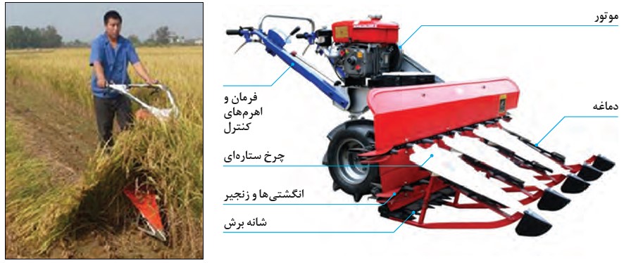  row Harvester and its use