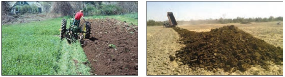 Spreading manure and putting green manure under the soil