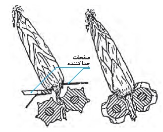 نحوه جدا شدن بلال از ساقه توسط غلتک ها