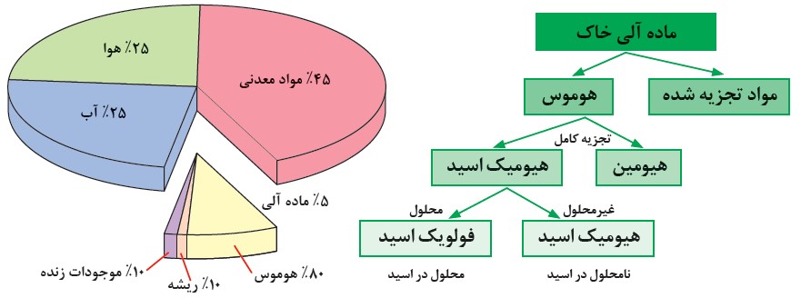 فرایند تشکیل هوموس، نقش هوموس