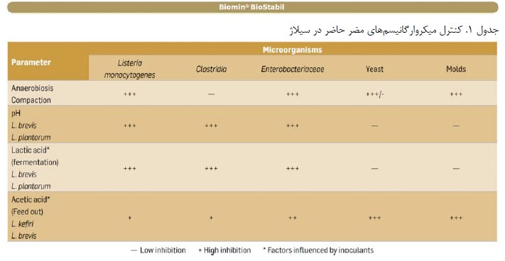 کنترل میکروارگانیسم های مضر در سیلاژ