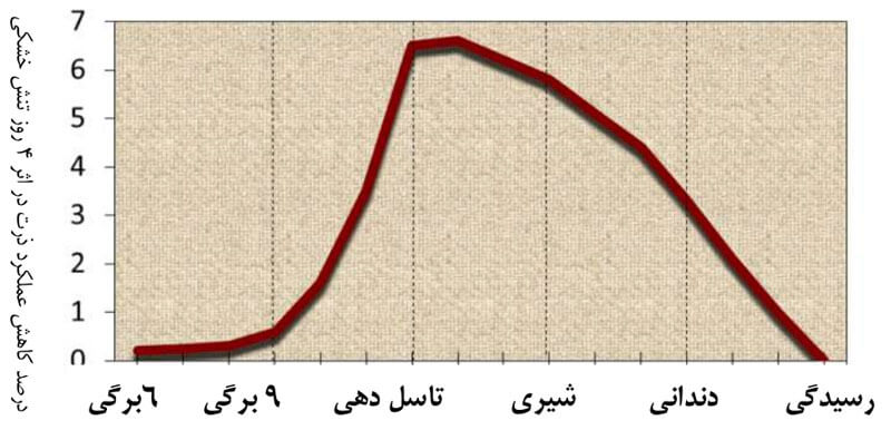 شکل3) تاثیر تنش خشکی در کاهش عملکرد در مراحل مختلف رشد ذرت