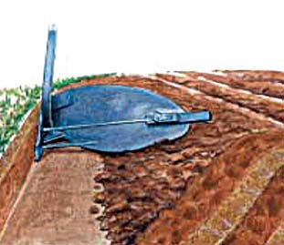 Conventional tillage