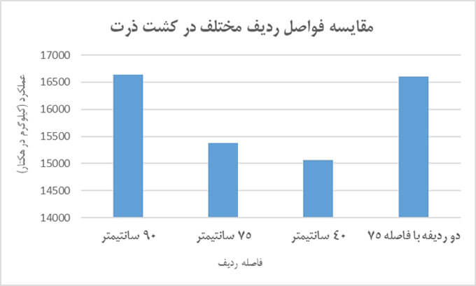 در یک مطالعه، مشخص شد که کشت دو ردیفه با فاصله ردیف دوقلوی 75 سانتیمتری و کشت تک ردیفه با فاصله 90 سانتیمتری، هر دو نسبت به تک ردیفه‌های 40 و 75 سانتیمتری، عملکرد بهتری داشتند.