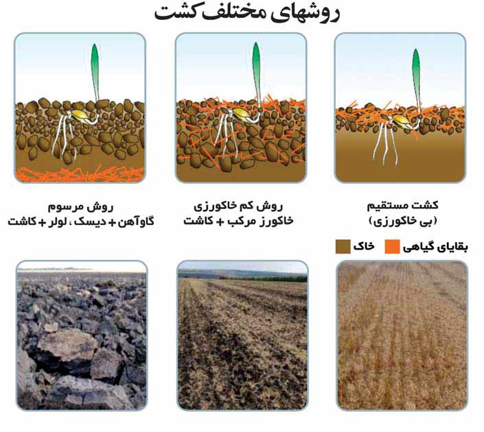 انواع روش های کشت