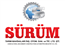 یونجه چین SURUM,ردیف کن علوفه SURUM,واردات محصولات SURUM,یونجه چین 165,موور 165 SURUM