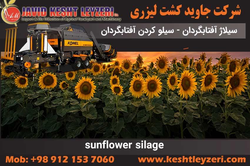 Sunflower silage