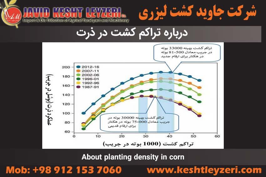 درباره تراکم کشت در ذرت