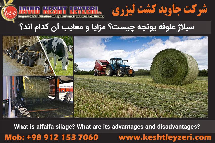 Hay silage and its advantages and disadvantages