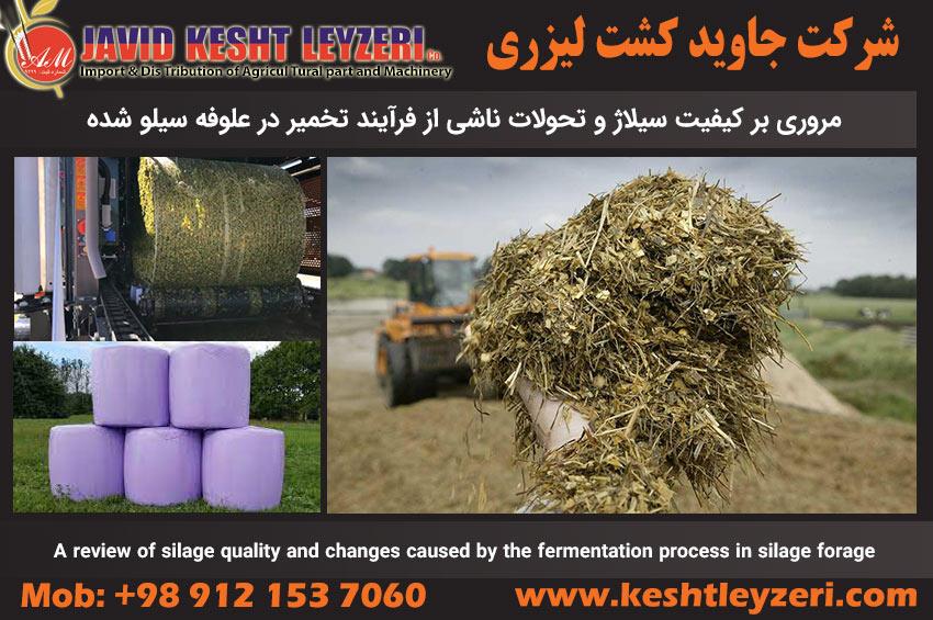 لاکتیک اسید،اسیدهای چرب فرار(VFA) و الکل در روند تخمیر سیلاژ