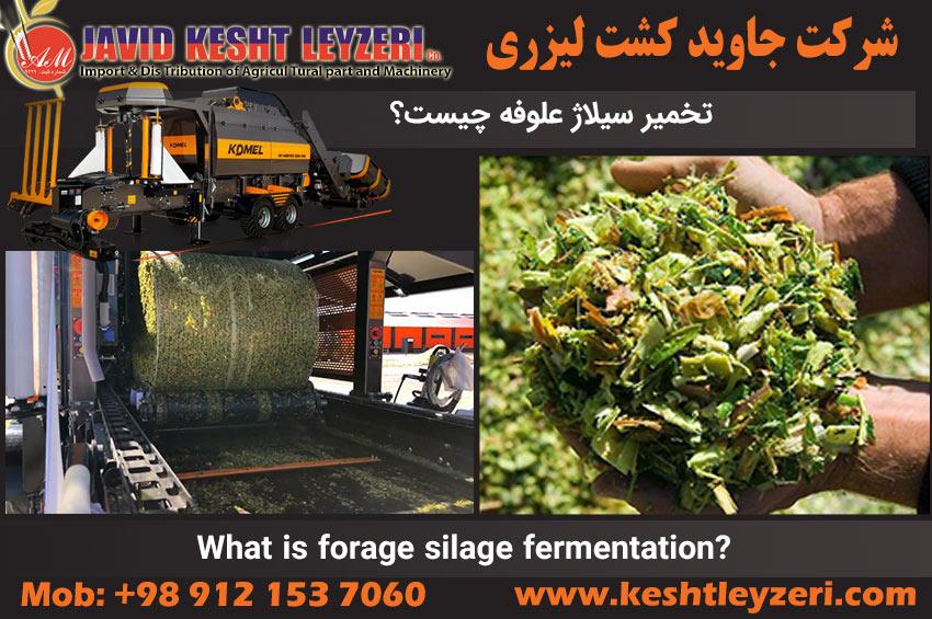 Fermentation method of silage fodder