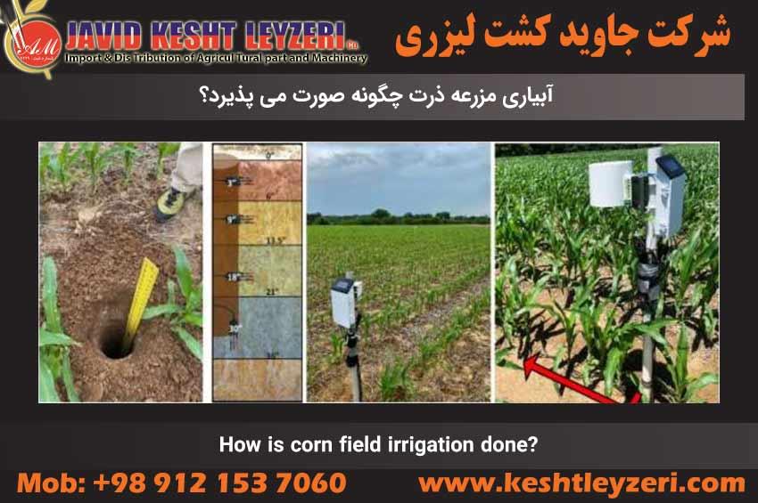 Corn irrigation system