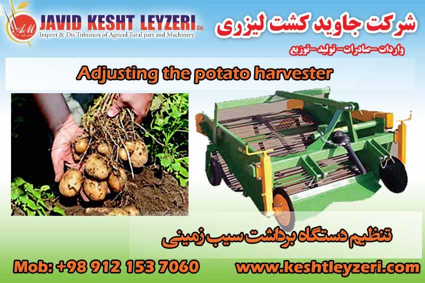 Setting up the potato harvester