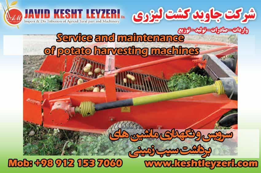 Service and maintenance of potato harvester agricultural machine