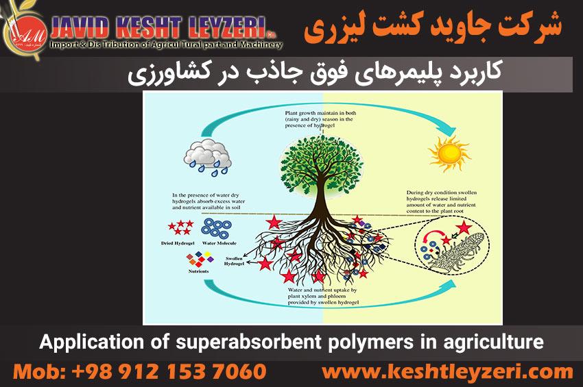 Super absorbent polymer in agriculture